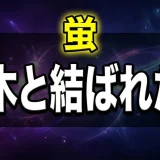 もやしもん蛍の最終回での結末は?沢木との関係も解説
